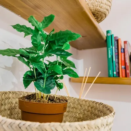 아파트 Feel - Sweet Old Town 베르가모